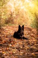 Mélissa BAYLE - Melissa Bayle  Photographie