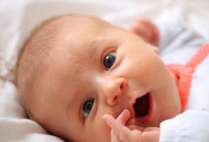 Elisabeth LAVALL - LAVALL ELISABETH